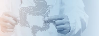 Doctor pointing to an illustration of the colon and rectum