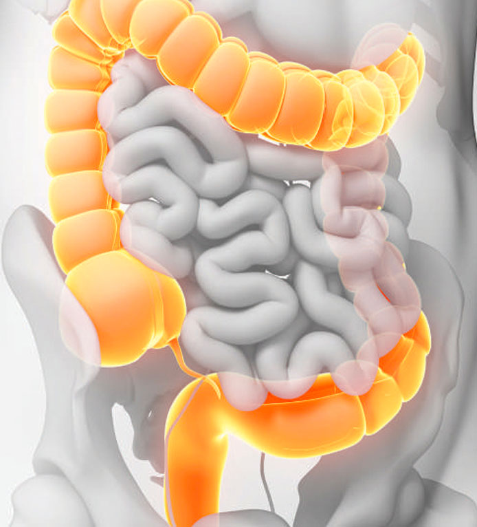 Your Guide To Colonoscopy