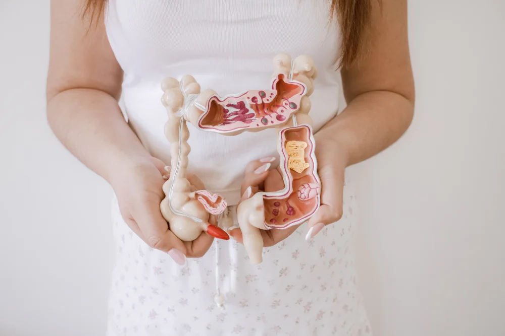 Woman holding a human colon anatomy model in front of her abdomen.